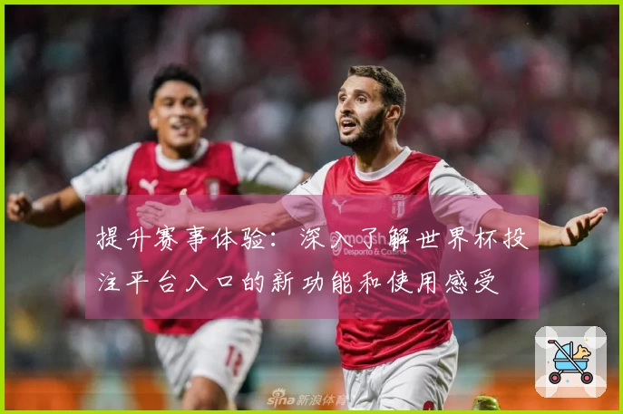 提升赛事体验：深入了解世界杯投注平台入口的新功能和使用感受