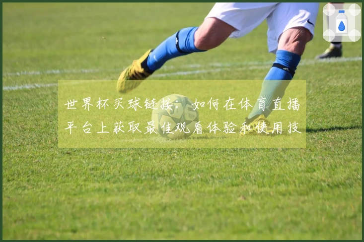 世界杯买球链接：如何在体育直播平台上获取最佳观看体验和使用技巧