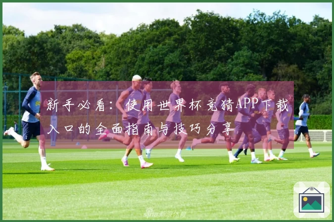 新手必看：使用世界杯竞猜APP下载入口的全面指南与技巧分享